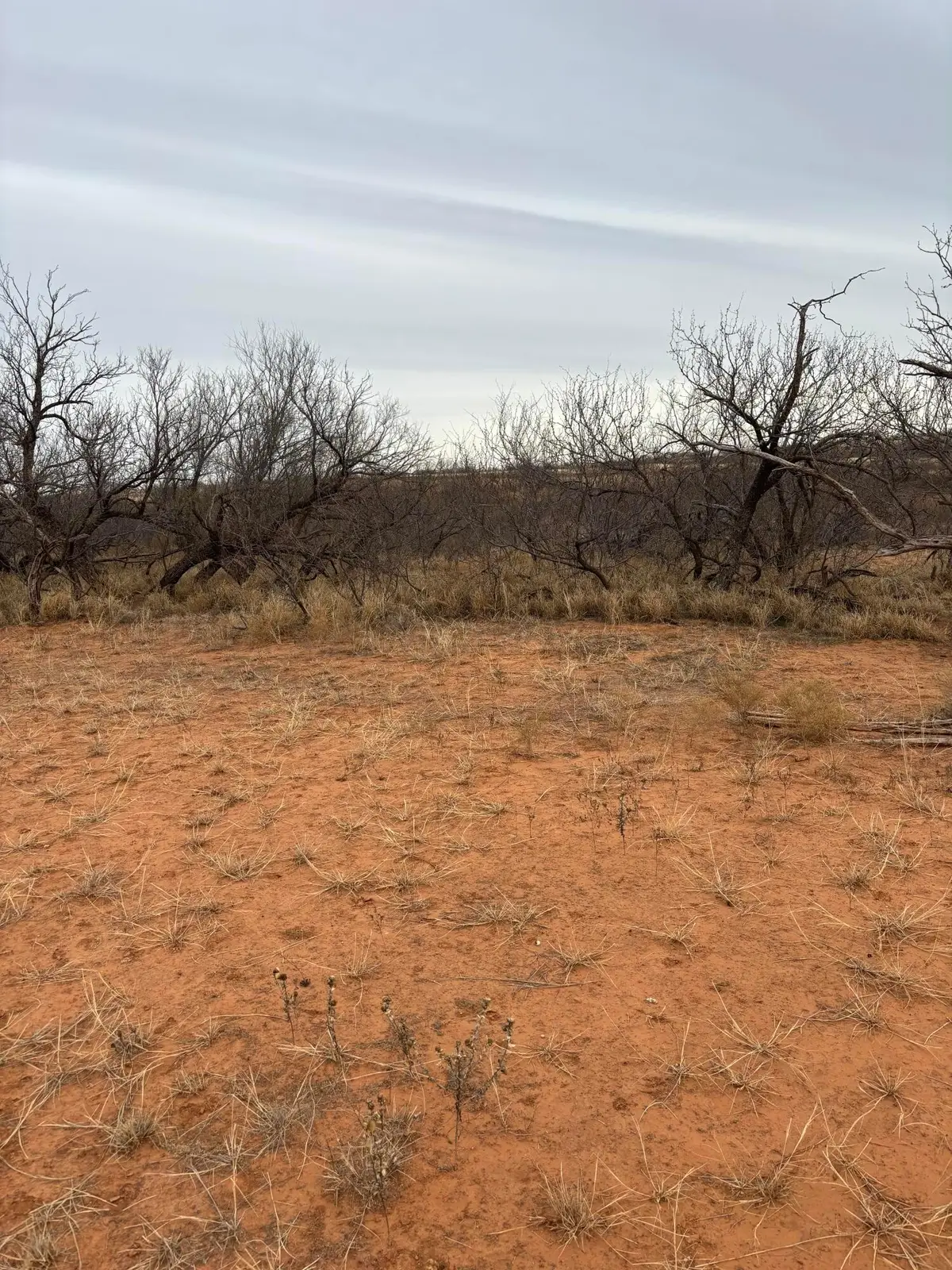 14020 County Road Q, Childress, TX 79201 - #1