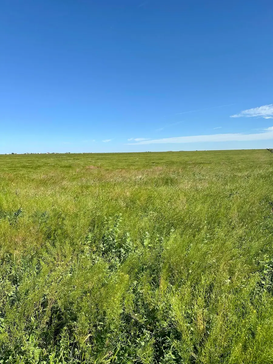 0 Fm 1062 Tract 3, Canyon, TX 79015 - #3
