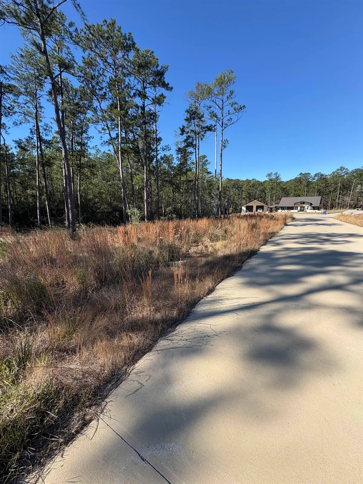 135 Tatanka Trail, Brookeland, TX 75931-0000 - #1