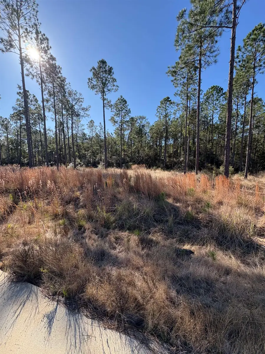 135 Tatanka Trail, Brookeland, TX 75931-0000 - #2