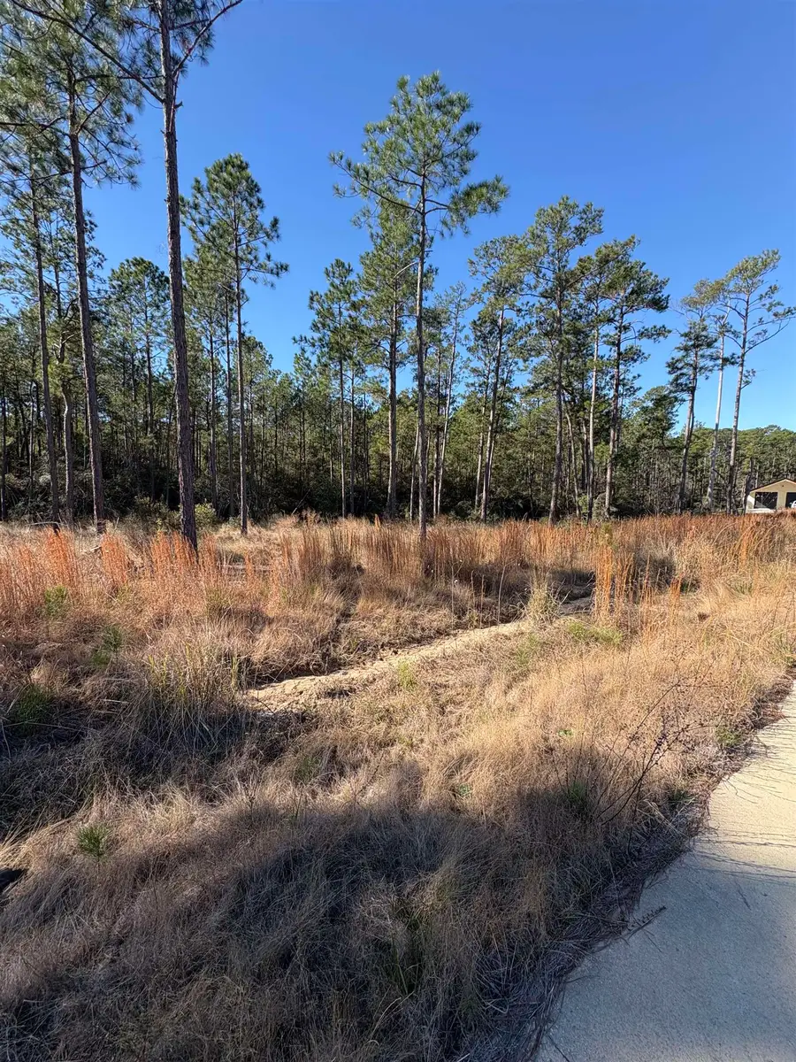 135 Tatanka Trail, Brookeland, TX 75931-0000 - #3