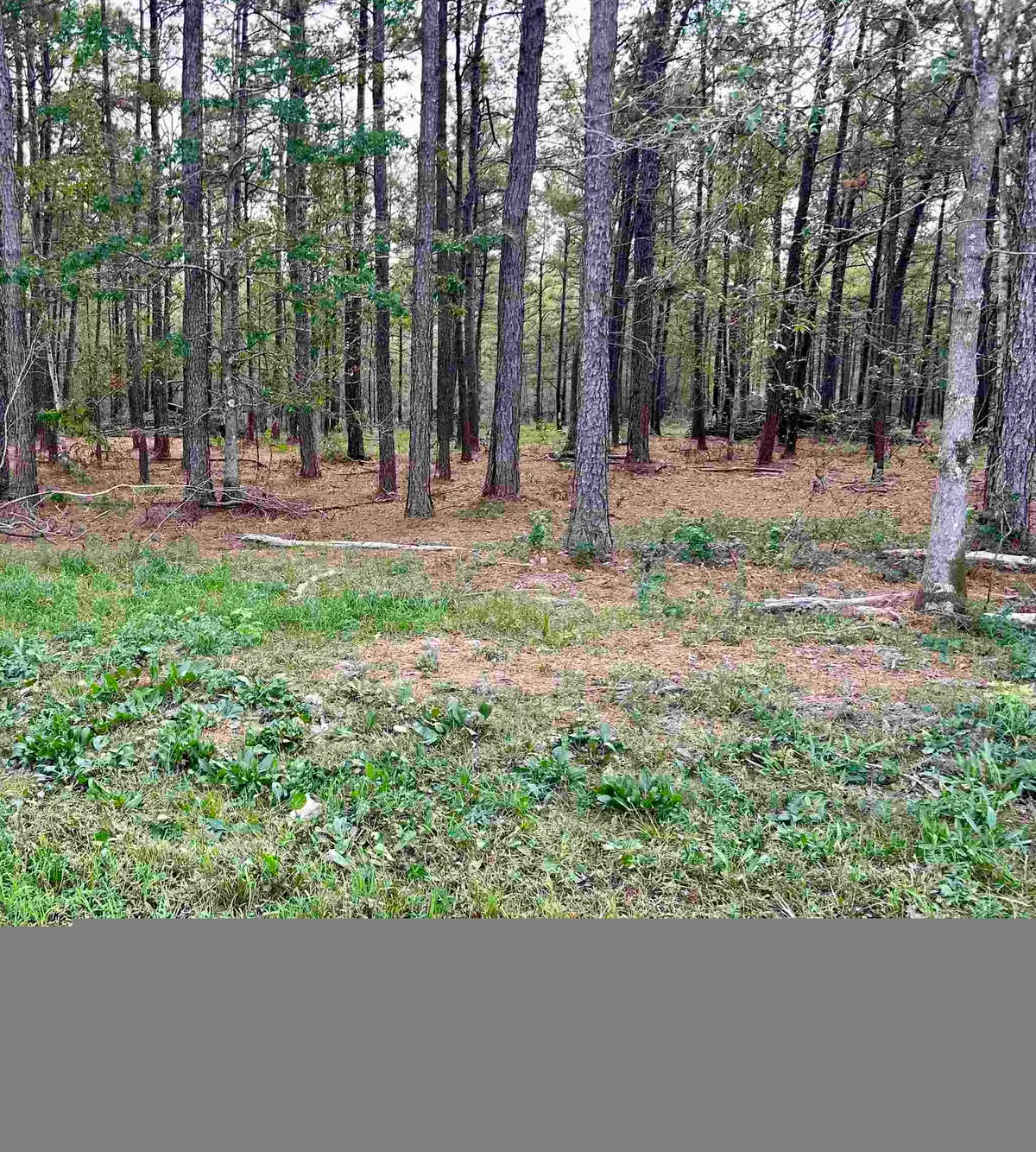 17089 Hwy 105, Sour Lake, TX 77659-7765 - #1