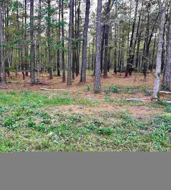 17089 Hwy 105, Sour Lake, TX 77659-7765