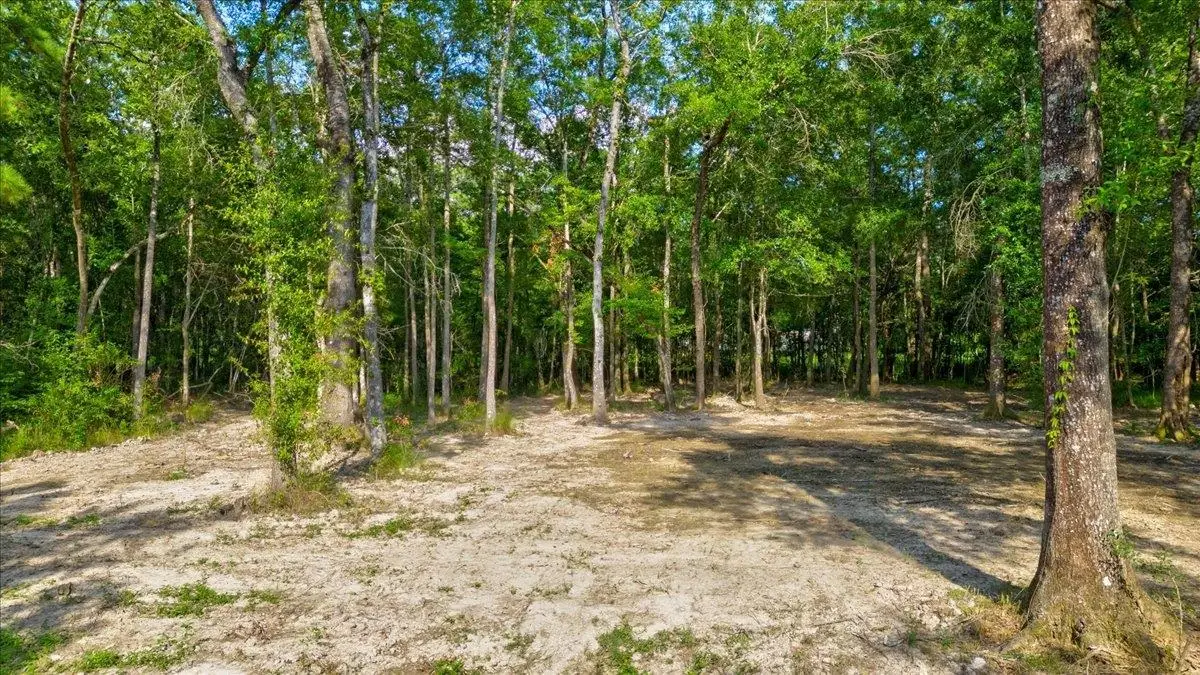 6386 Mesquite, Orange, TX 77632 - #1