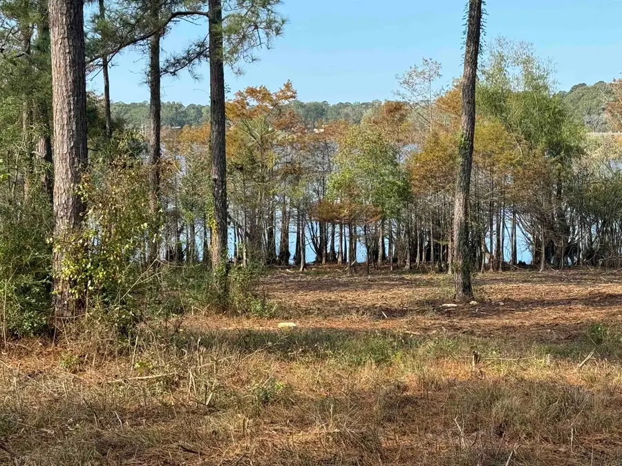 002 FM 83, Broaddus, TX 75929 - #2