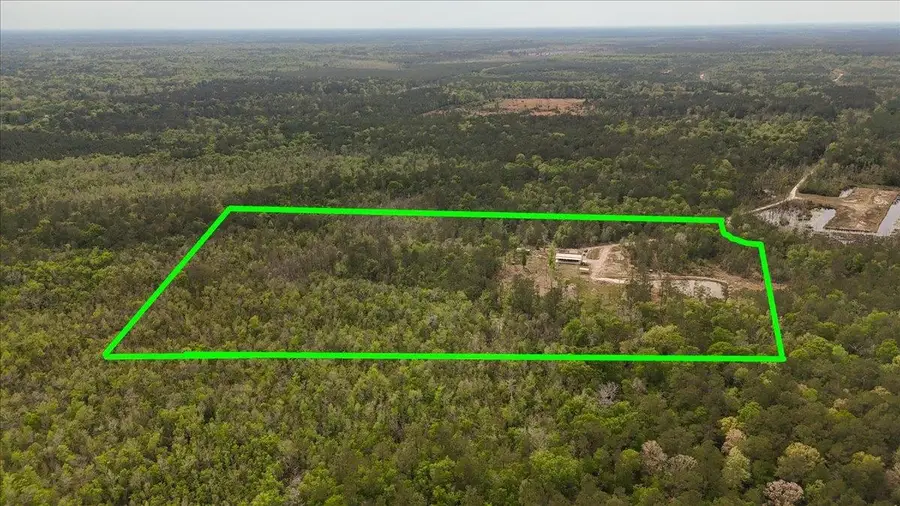 1793 County Road  3132, Buna, TX 77612 - Image #3