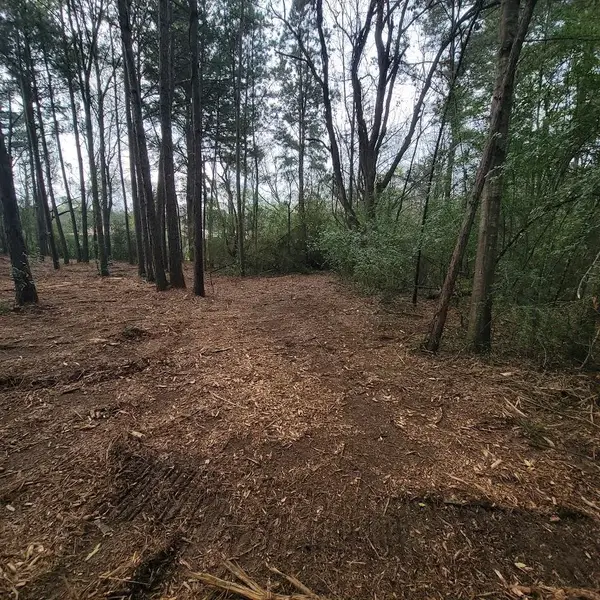 LOT 6 Blue Jay, Kountze, TX 77625