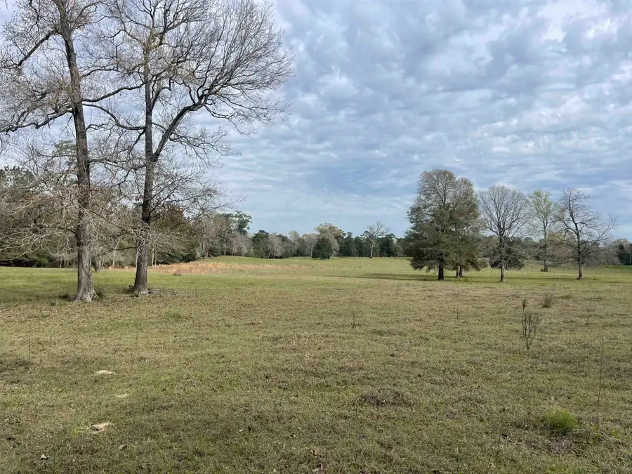 454 CR 1205, Hillister, TX 77624 - #3
