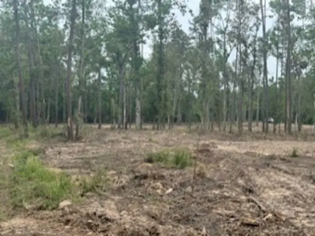 3870 tract 2 W CR 2590, Chester, TX 75936 - Image #1