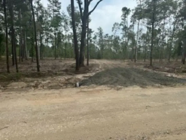 3870 tract 2 W CR 2590, Chester, TX 75936 - Image #3