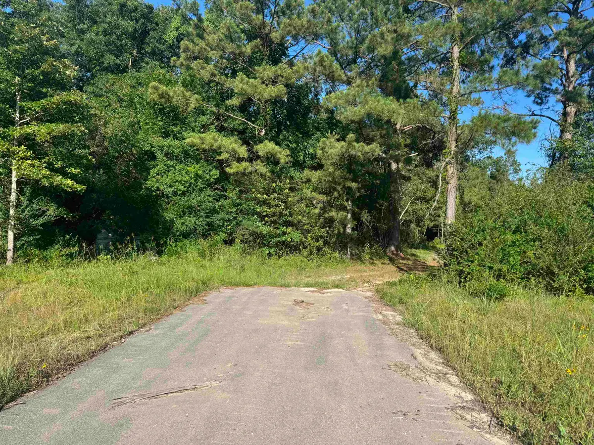 R37357 tract 5 Hwy 69 S, Zavalla, TX 75980 - Image #1