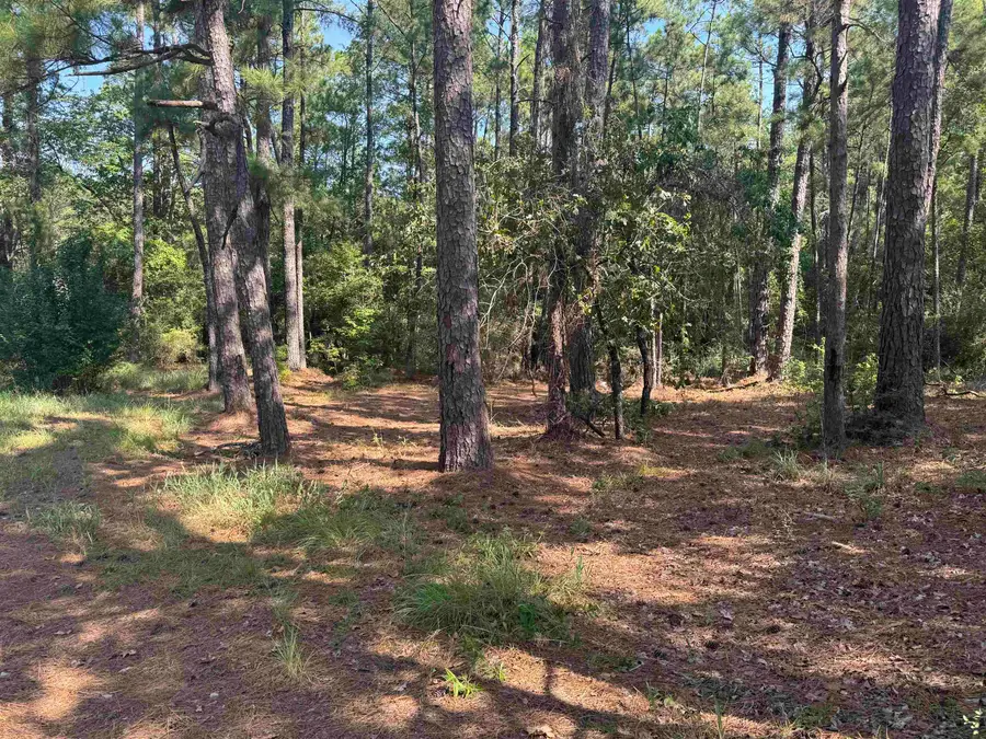 164 Pine Hollow Cove, Brookeland, TX 75931 - Image #3