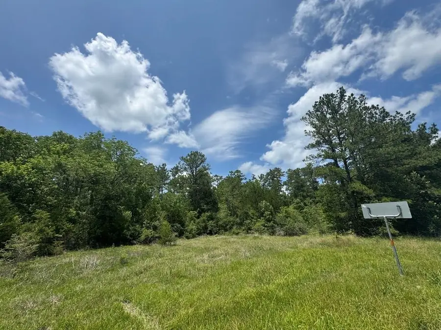 615 East Hwy 63, Burkeville, TX 75932 - Image #2