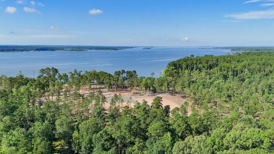 184 Debbie Lane, Pineland, TX 75968 - #3