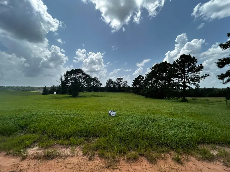 Lot 329 MADISON LAKE LOOP, Hillister, TX 77624 - #2