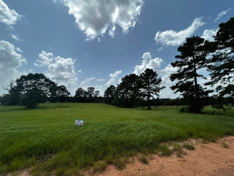 Lot 329 MADISON LAKE LOOP, Hillister, TX 77624 - #3