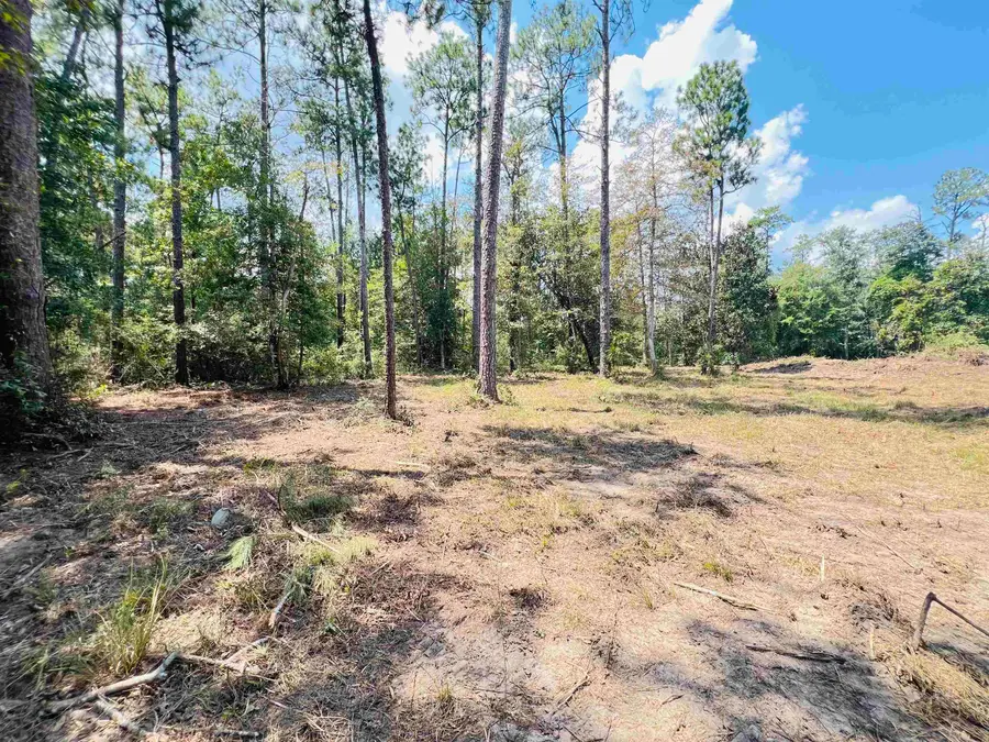 8865 Reed Ranch Road, Silsbee, TX 77656 - #2