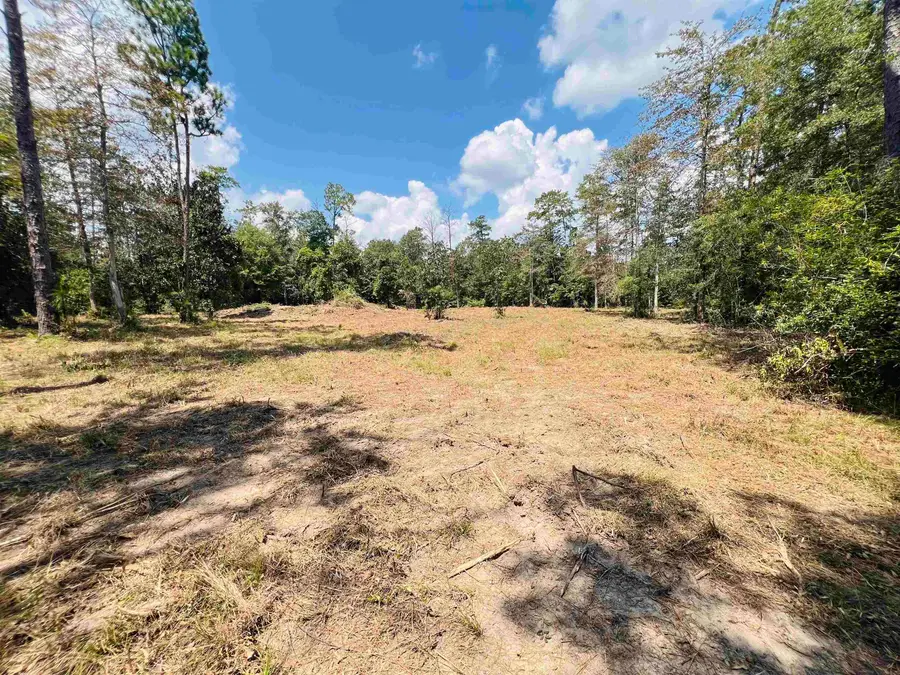 8865 Reed Ranch Road, Silsbee, TX 77656 - #3