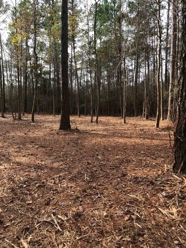 TBD 13.56 ACRES PR 8725, Woodville, TX 75979