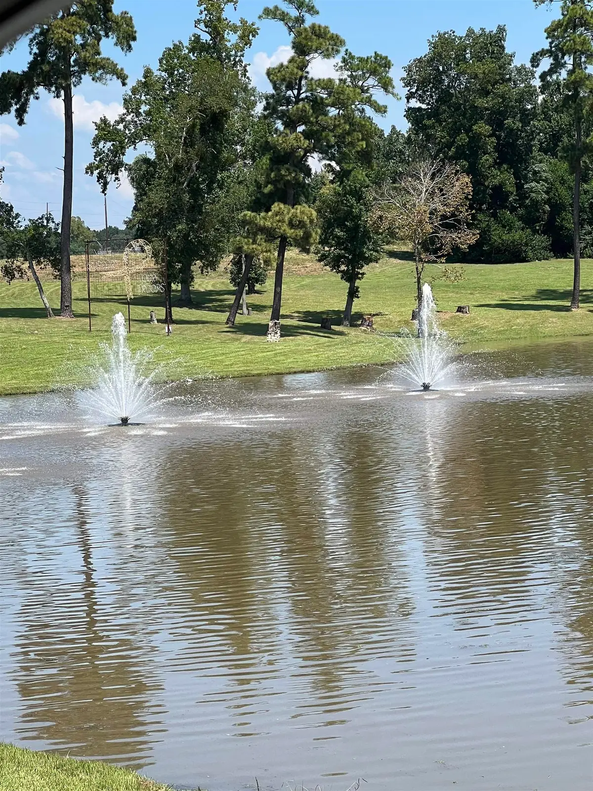 160 Branchwood Dr., Livingston, TX 77351 - #1