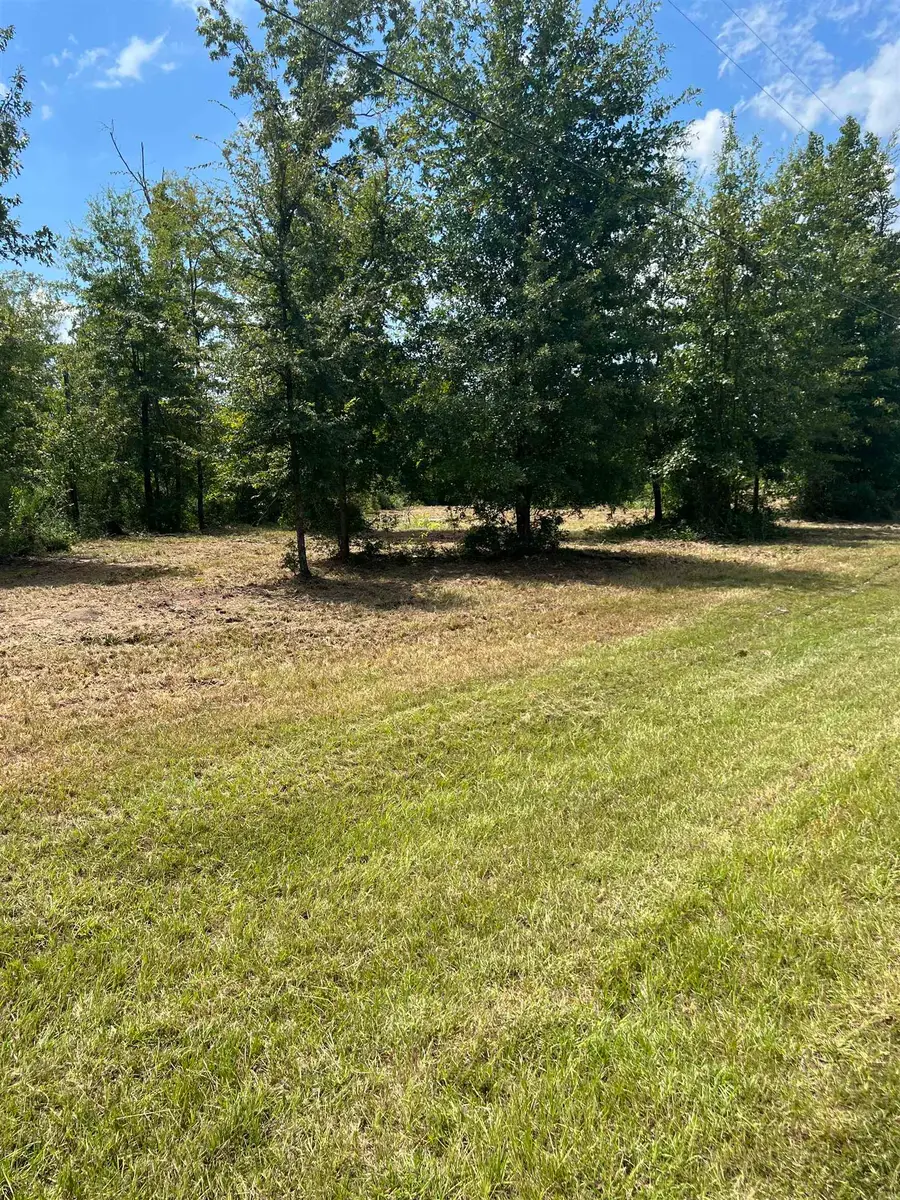 160 Branchwood Dr., Livingston, TX 77351 - #3