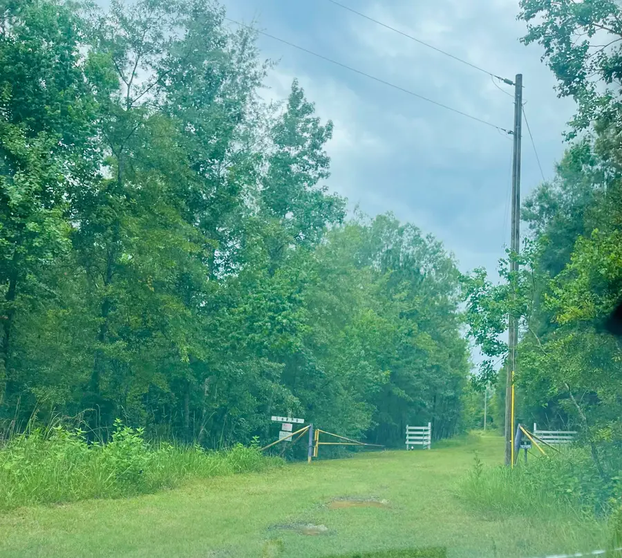 000 TEXAS STATE HWY 62, Buna, TX 77612 - #2