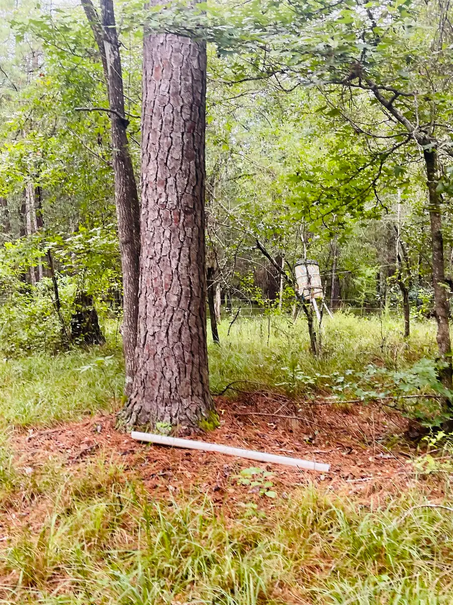 000 TEXAS STATE HWY 62, Buna, TX 77612 - #3