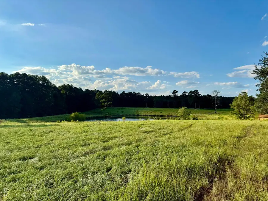 TBD Lakeland Ranch Lot 277, Hillister, TX 77624-9999 - #2