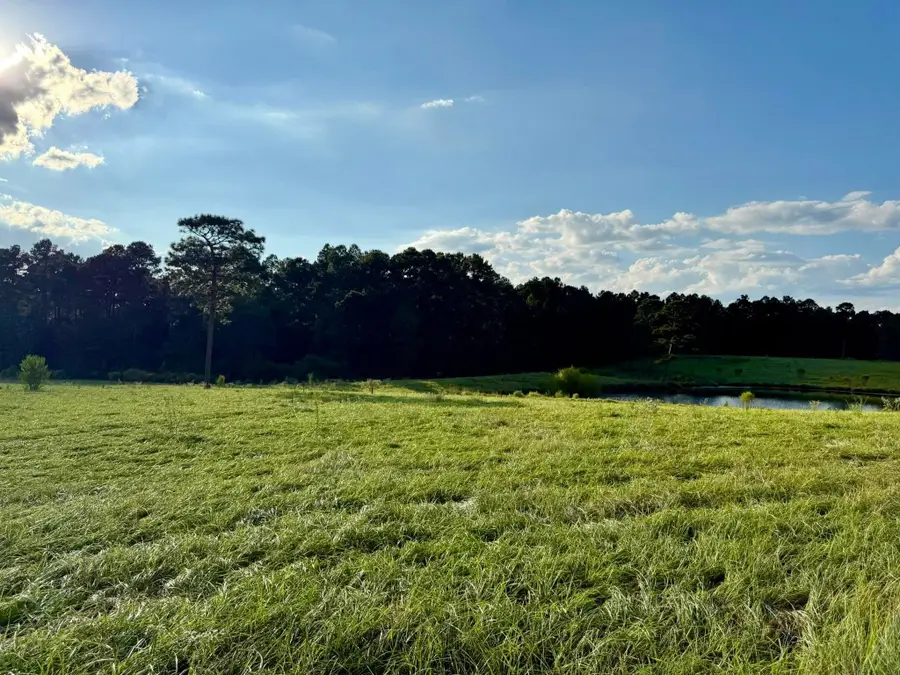 TBD Lakeland Ranch Lot 277, Hillister, TX 77624-9999 - #3