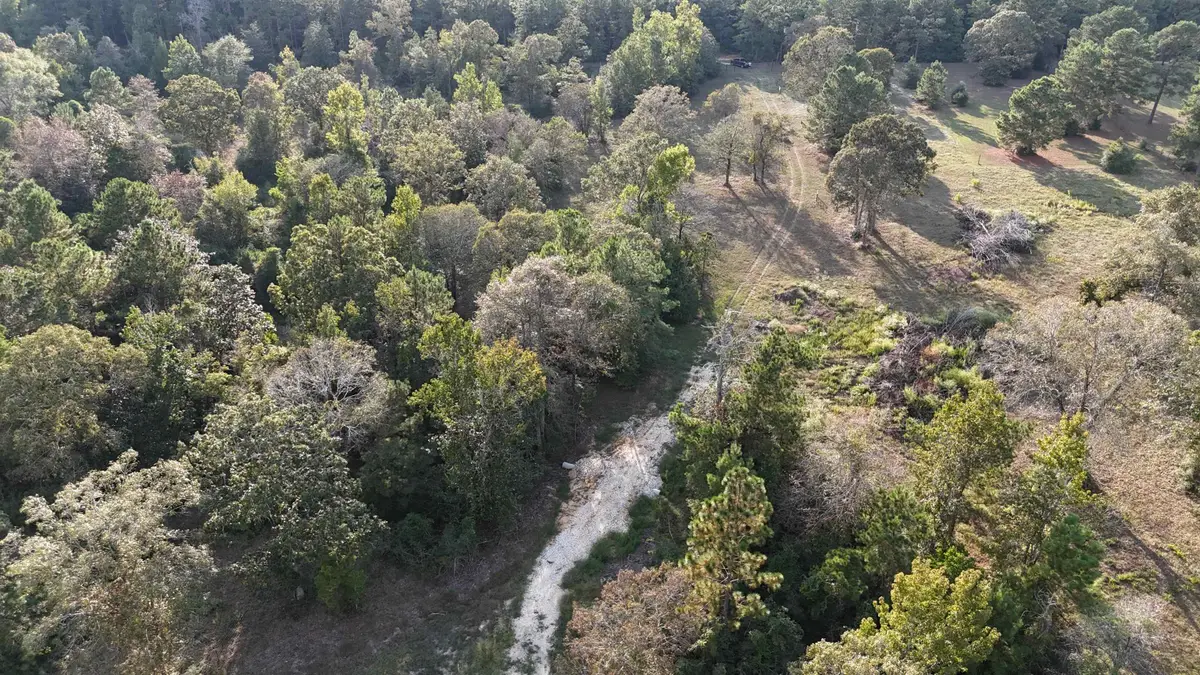 440 PR 8385, Hillister, TX 77624 - #1