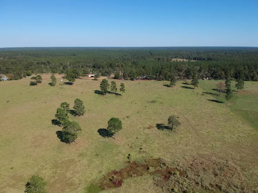 TBD Lakeland Ranch Lot 252, Hillister, TX 77624-9999 - #2