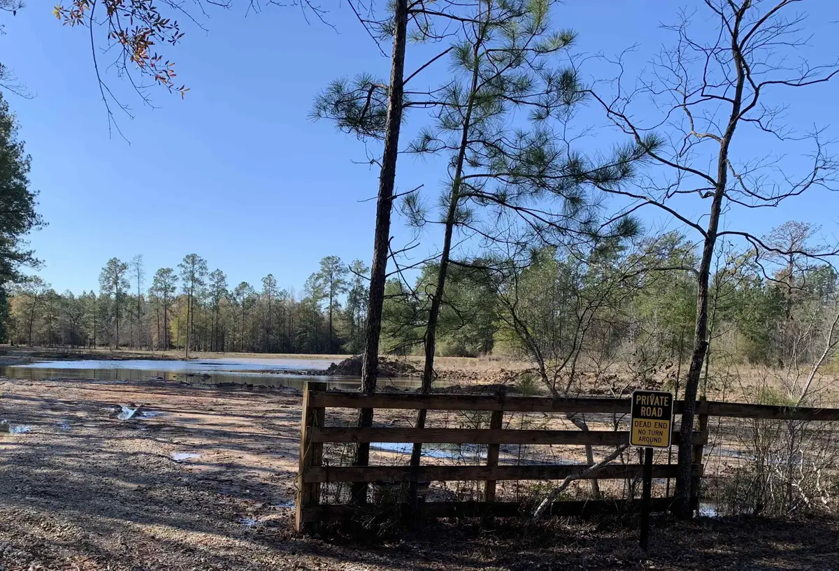 240 County Road 893, Evadale, TX 77615 - #1