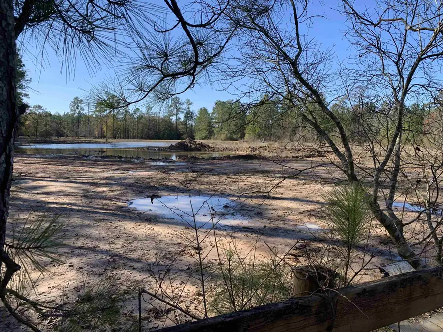 240 County Road 893, Evadale, TX 77615 - #2