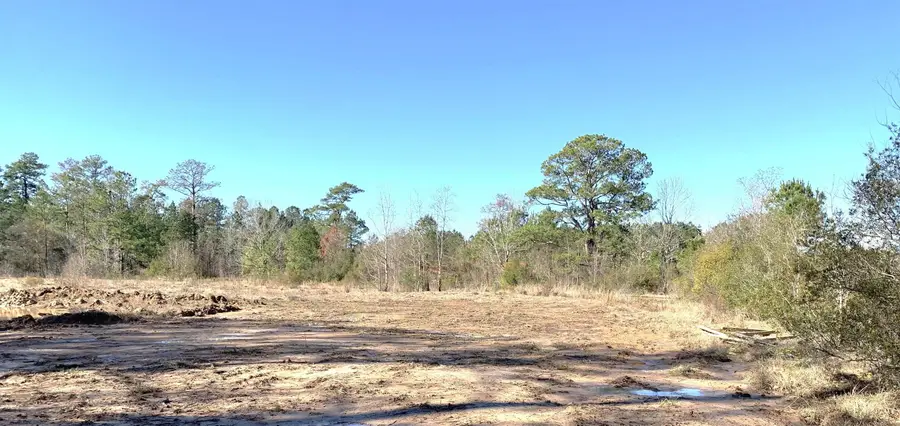 240 County Road 893, Evadale, TX 77615 - #3