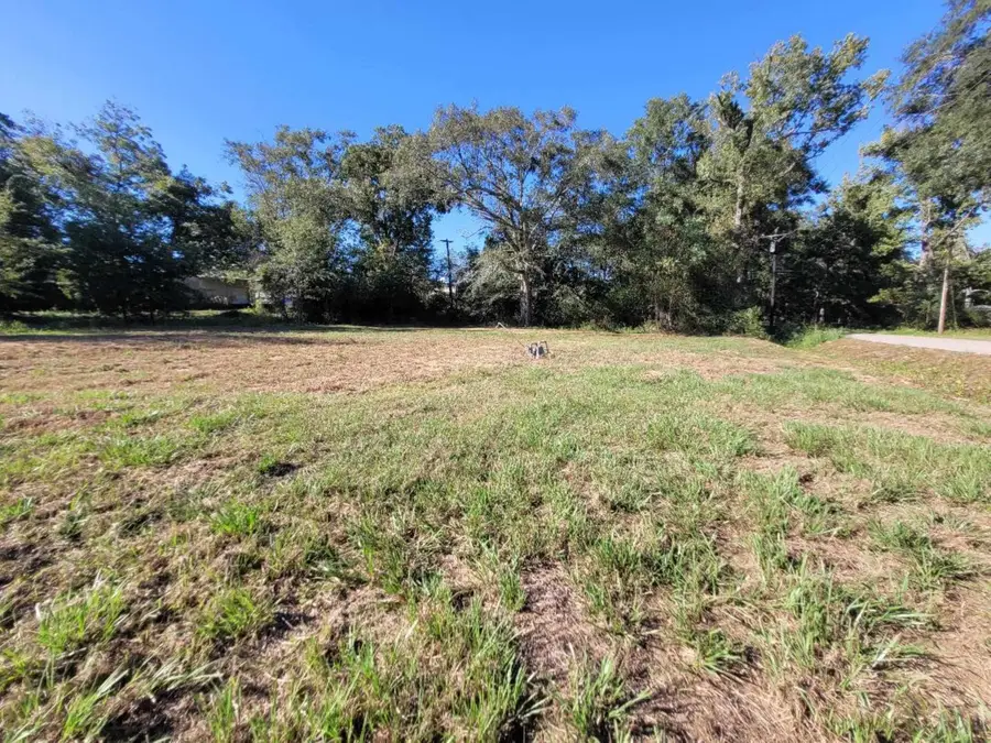 112 E Drew, Kirbyville, TX 75956 - Image #2