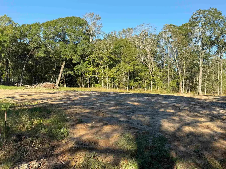 1615 Stagg Dr, Vidor, TX 77662 - Image #3