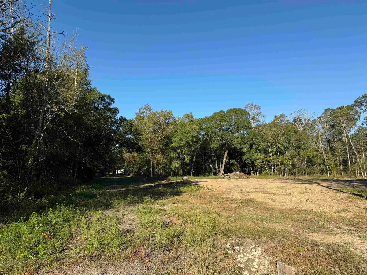 1605 Stagg Dr, Vidor, TX 77662 - Image #1