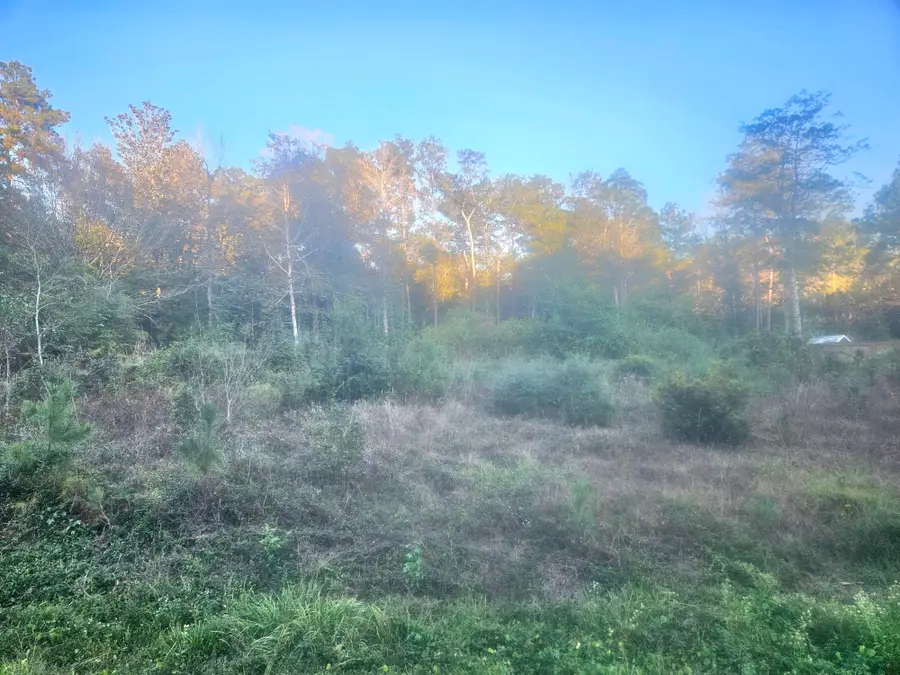 9855 N Park Rd, Lumberton, TX 77657 - Image #2