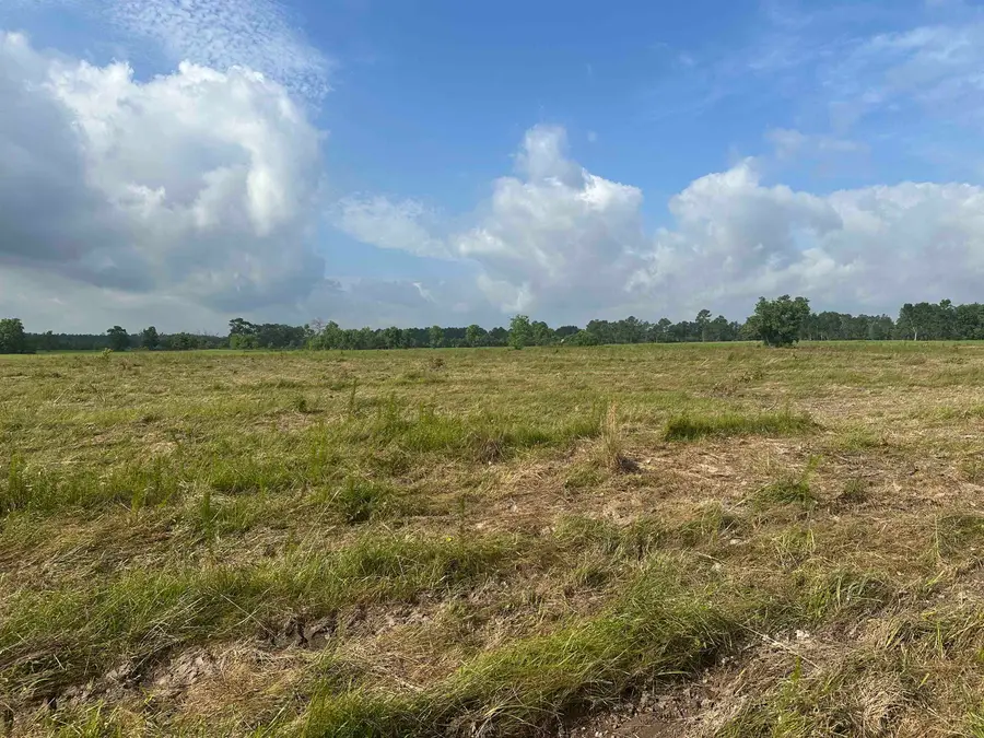 0 CR 3114, Buna, TX 77612 - Image #3