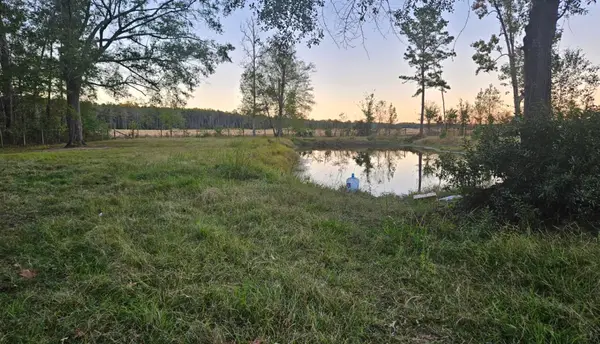 807 County Road 373, Splendora, TX 77372