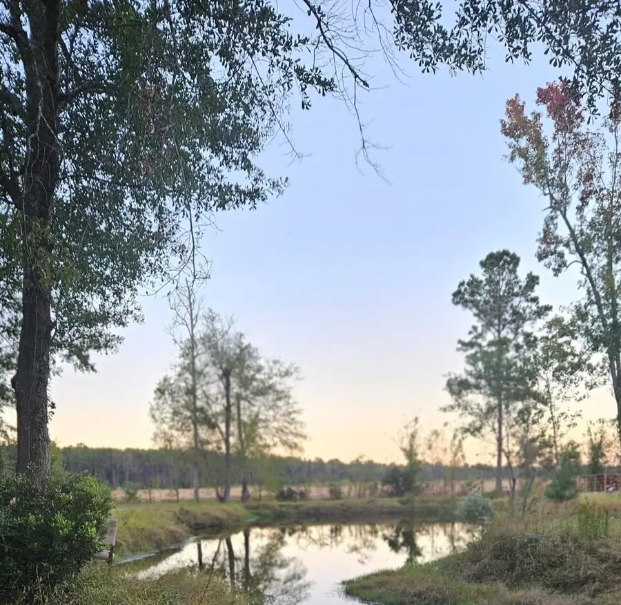 807 County Road 373, Splendora, TX 77372 - Image #2