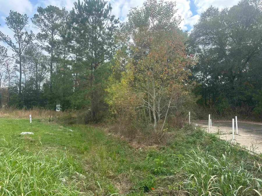 Landon Lane, Orange, TX 77632 - Image #2