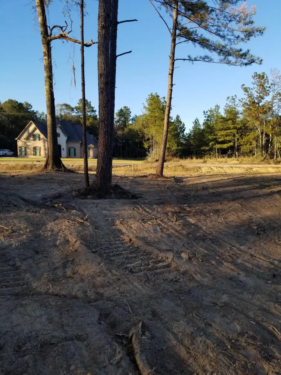 6870 Carlyle Court, Lumberton, TX 77657 - Image #2