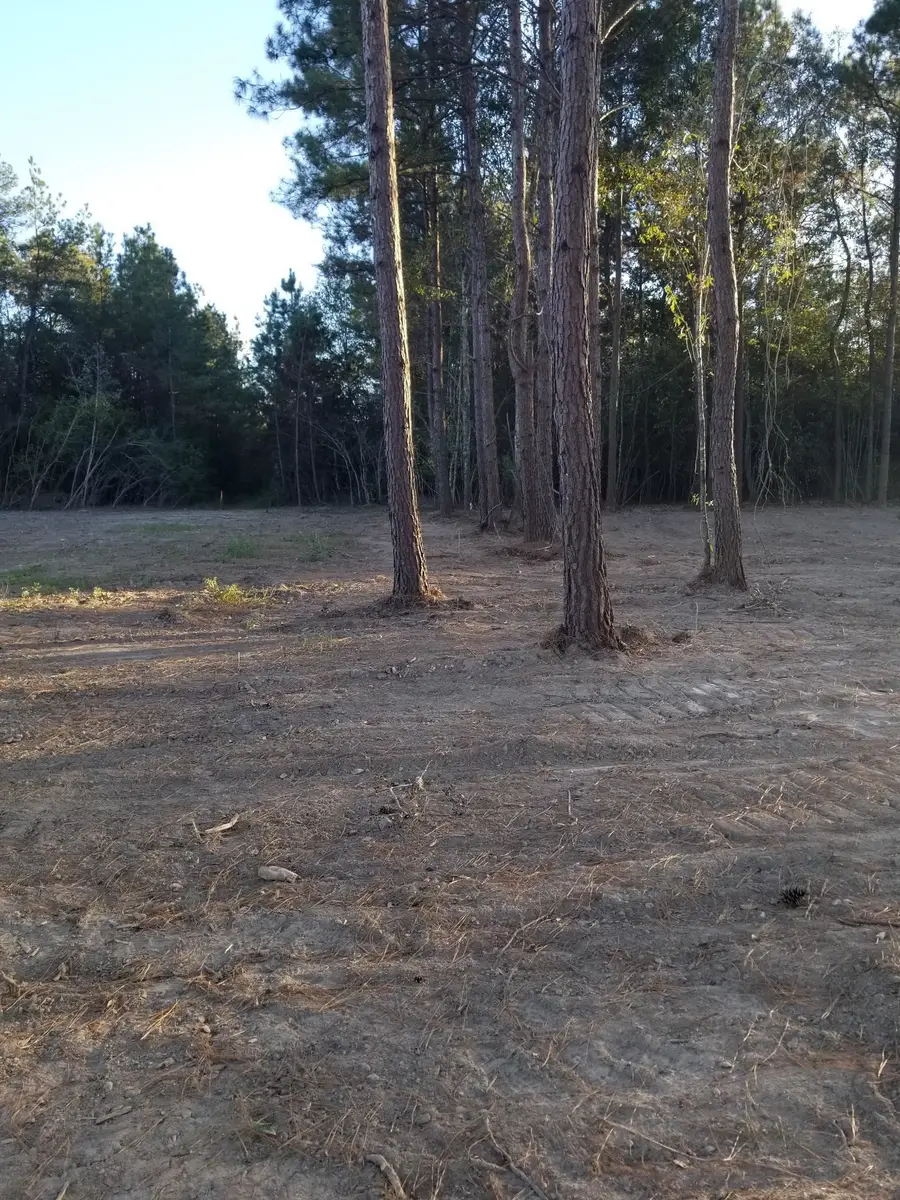 6870 Carlyle Court, Lumberton, TX 77657 - Image #3