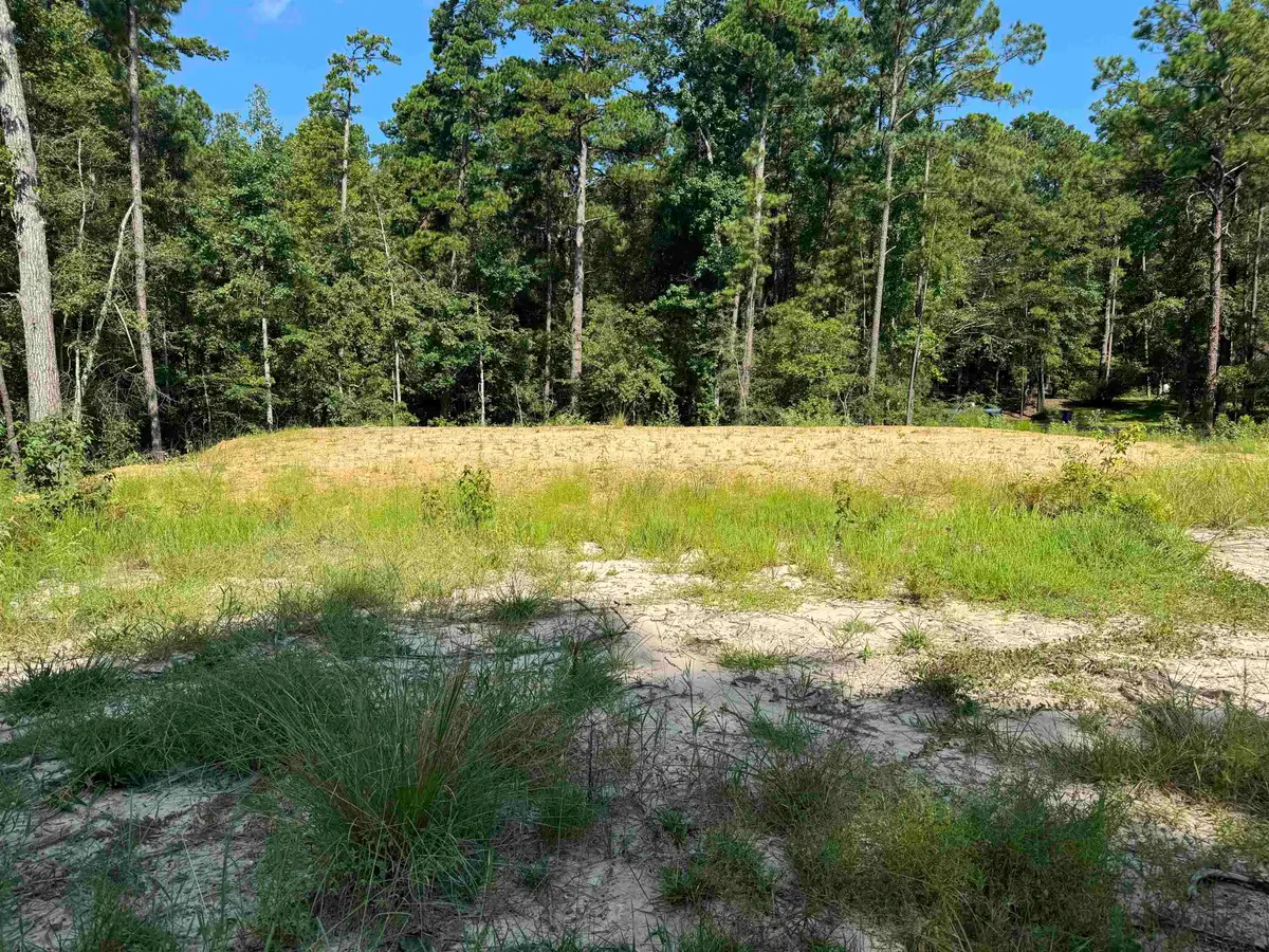 130 Ashcreek, Brookeland, TX 75931 - #1
