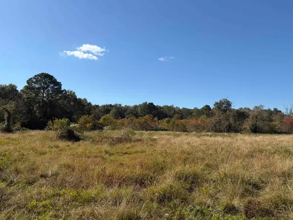 27.68 Acres Hwy 62, Orange, TX 77632