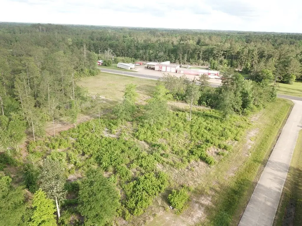 150 Raybo Dr, Kirbyville, TX 75956 - Image #1