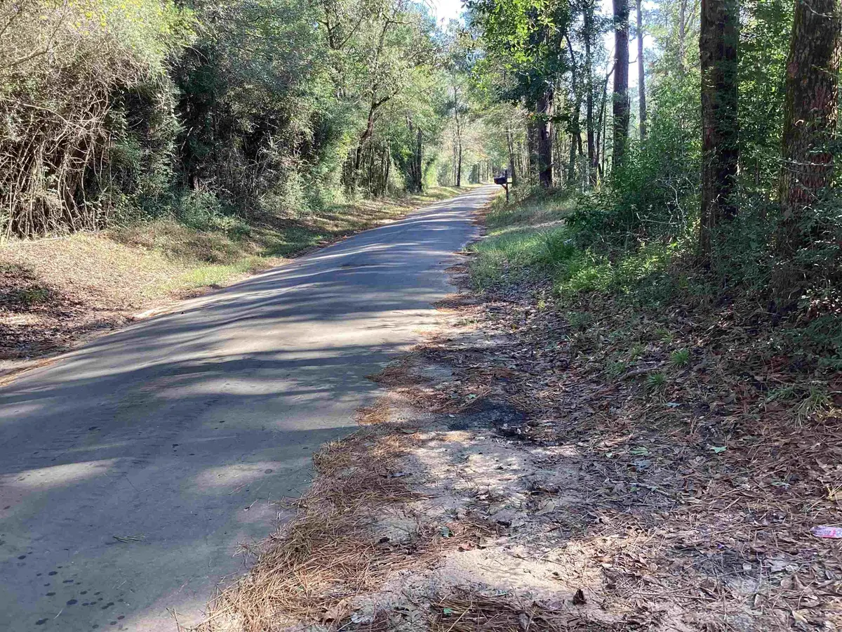 County road 3038, Newton, TX 75966 - #1