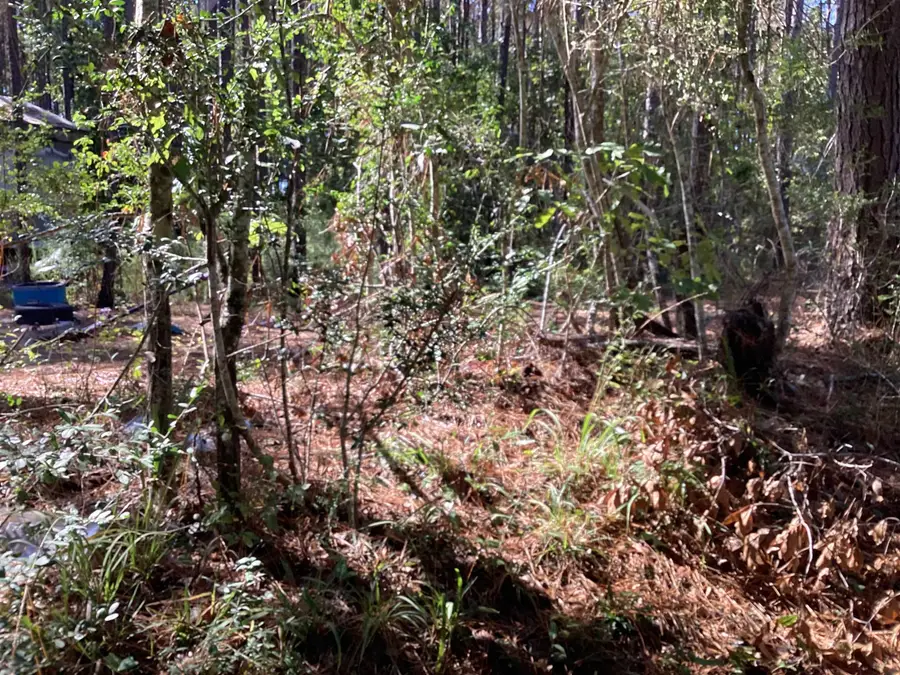 County road 3038, Newton, TX 75966 - #2