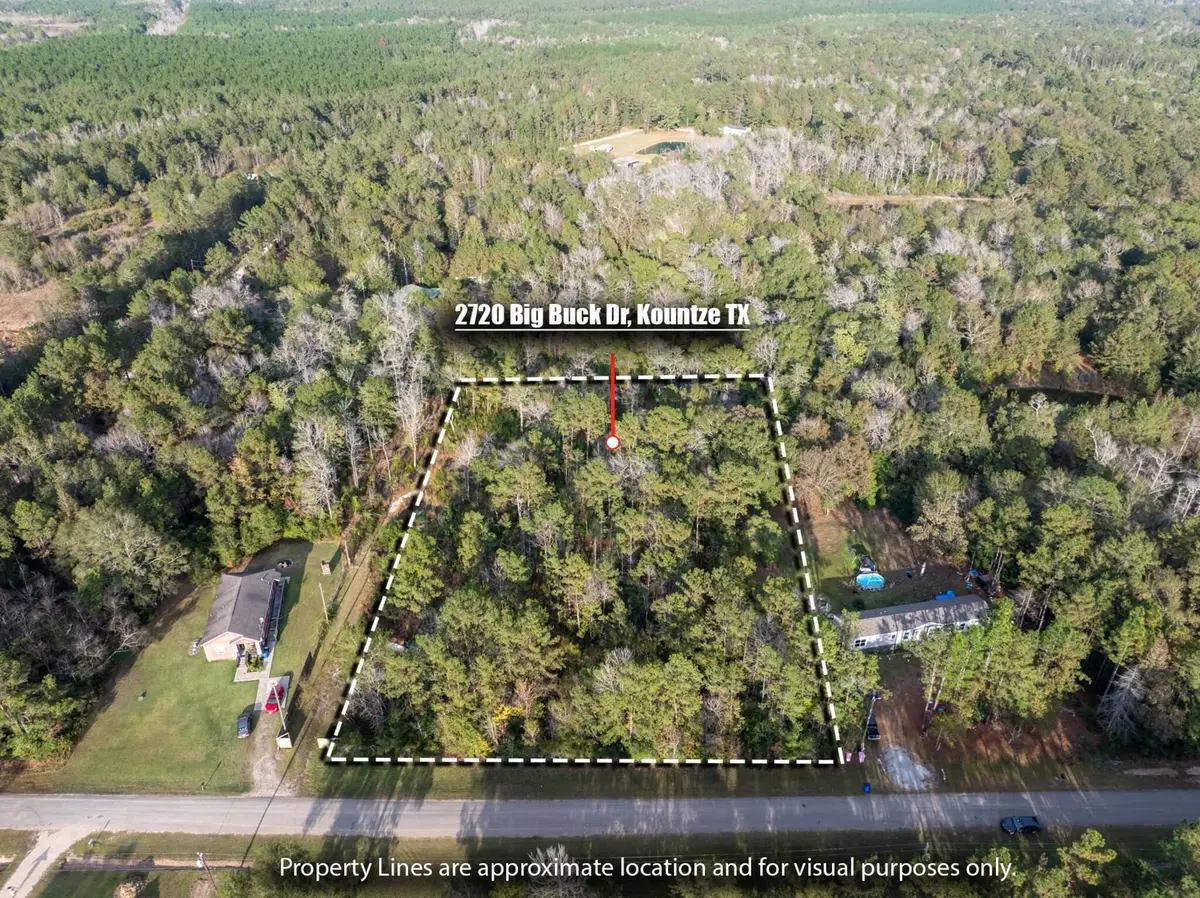 2720 Big Buck drive, Kountze, TX 77625 - Image #1